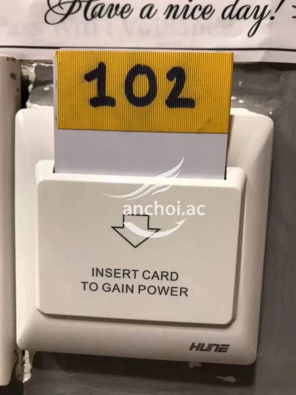 em thật sự là rất ngon. Dịch vụ tốt. Phục vụ nhiệt tình, 1 trải nghiệm rất thoả  — ảnh 3