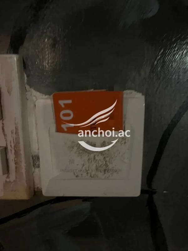 Đã check rất ưng ý nha e Em nó có làn da trắng, thơm tho sạch sẽ rất thích nó dâ